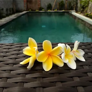 Gasthof Eka Bali